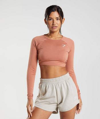 Dámské Long Sleeve Gymshark Tréninková Hnědé | CZ 3520VRW